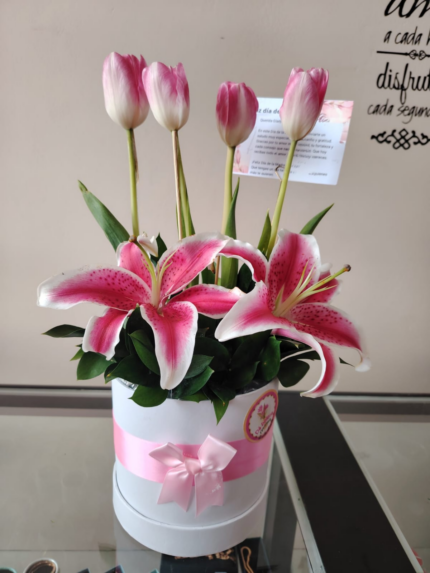 ELEGANCIA FLORAL